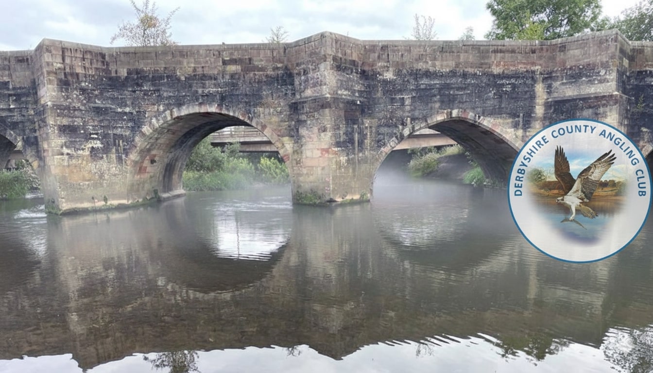 Misty river bank at dawn